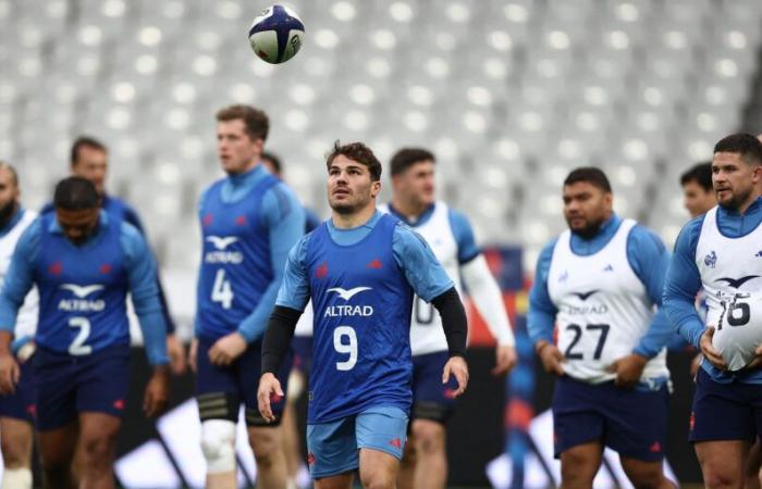 Um wie viel Uhr und auf welchem ​​Sender kann man das erste Rugby-Testspiel der Blues sehen?