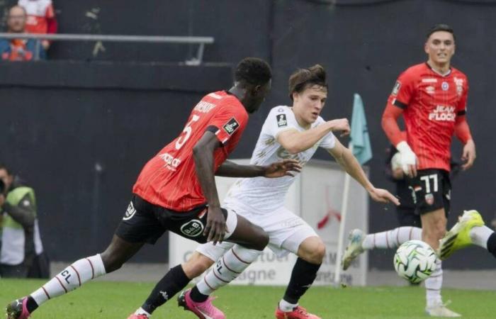 EA Guingamp. „Ich weiß nicht, ob wir uns versteckt haben“: Hugo Picards Unverständnis