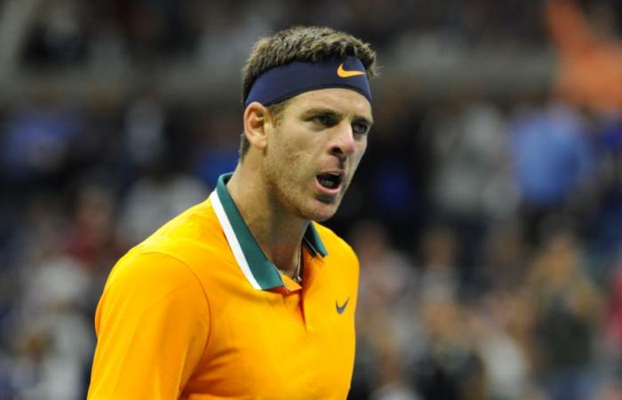 ATP > Del Potro über Djokovic: „In Miami schickte mir Novak eine Nachricht: ‚Delpo, ich weiß, dass du hier bist, ich möchte zusammen zum Abendessen gehen.‘ Wir gingen dorthin und nach einer spektakulären, mehrstündigen Diskussion sagte er zu mir: „Sie können auf mich zählen, ich werde alles tun, um Ihnen zu helfen.“