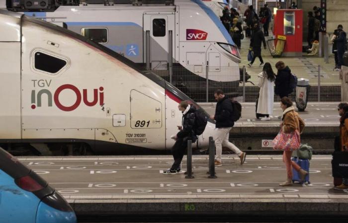 Katze von zwei Bordeaux-Frauen von Zug erdrückt: SNCF im Berufungsverfahren freigelassen