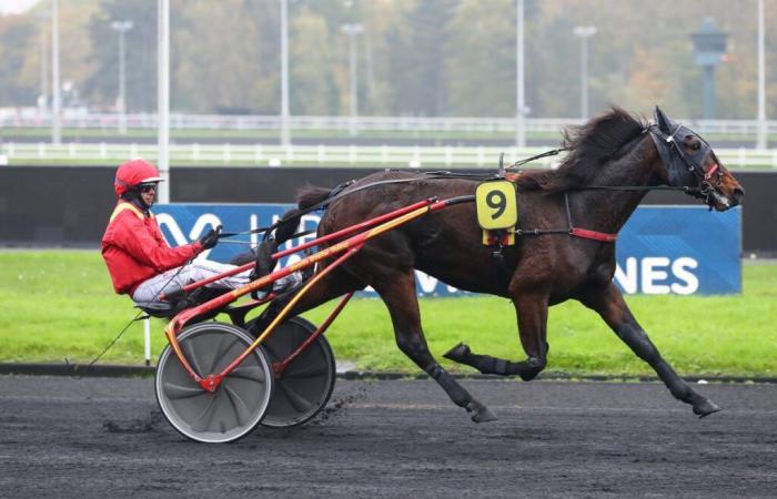 Lovely du Vallon gewinnt mit Mathieu Mottier in Vincennes