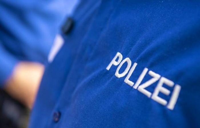 Aktuell: Seniorin in Greifensee von falschen Handwerkern ausgeraubt