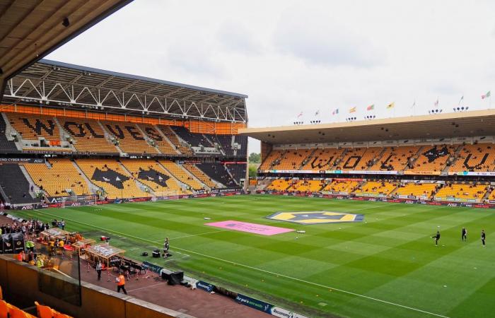 Wolverhampton vs. Southampton LIVE-Ergebnisaktualisierungen (1-0) | 9. November 2024