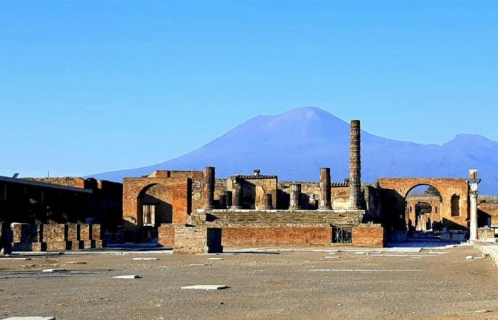 DNA von Opfern des Pompeji-Ausbruchs enthüllt unerwartete Informationen