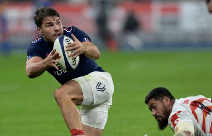 Die Ergebnisse der Blues während Frankreich-Japan (52-12): Antoine Dupont Diesel, Super Louis Bielle-Biarrey