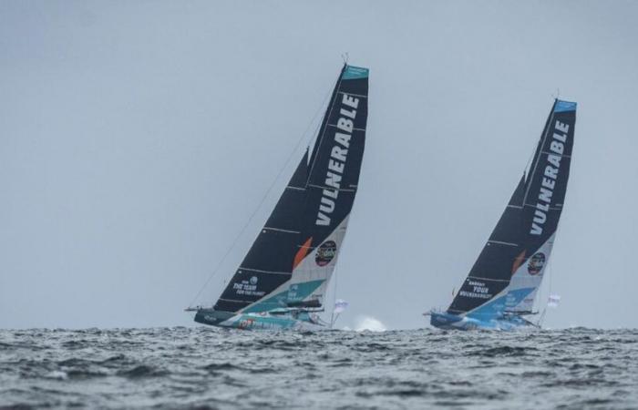 Verletzlich, dieses außergewöhnliche wirtschaftliche und soziale Projekt zum Auftakt der Vendée Globe