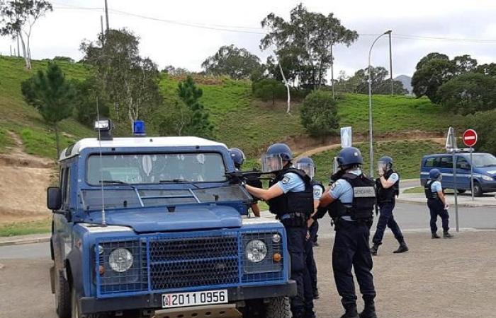 Die Umweltstrafe „belastet“ den Haushalt der Gendarmerie, der für den Kauf neuer Fahrzeuge vorgesehen ist