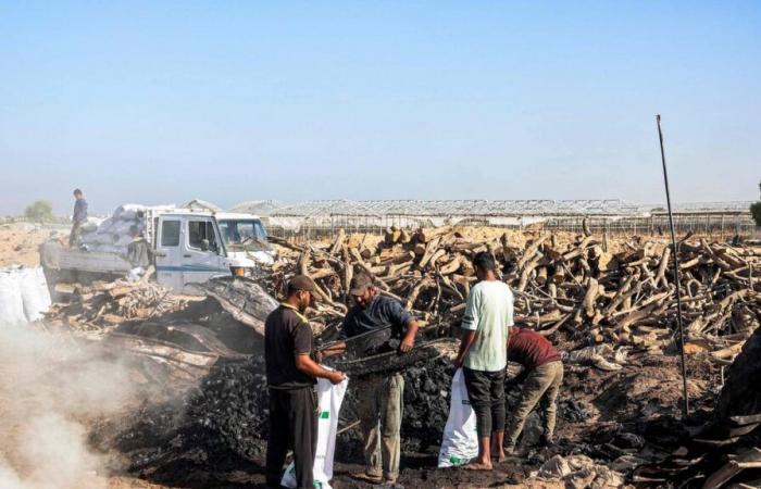 Gazastreifen: Der Zivilschutz meldet 14 Tote bei zwei israelischen Angriffen