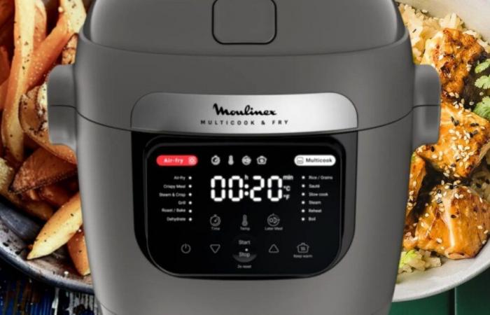 Moulinex bringt einen außergewöhnlichen Multicooker-Airfryer auf den Markt