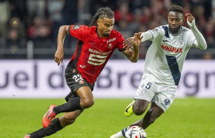 Stade Rennes – Toulouse. Ein Match, das wirklich seinesgleichen sucht