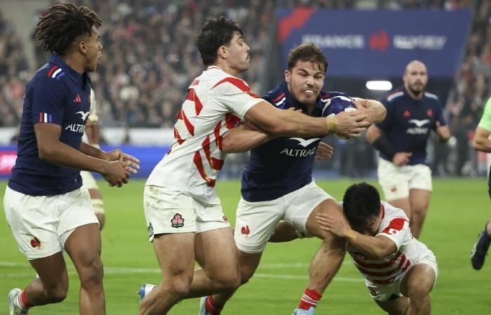 Japan fegte davon, Platz für die All Blacks