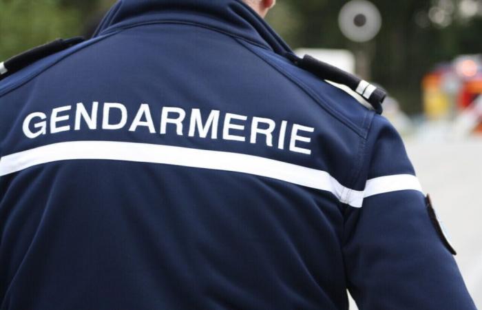 Besorgniserregendes Verschwinden eines 12-jährigen Mädchens in Morbihan