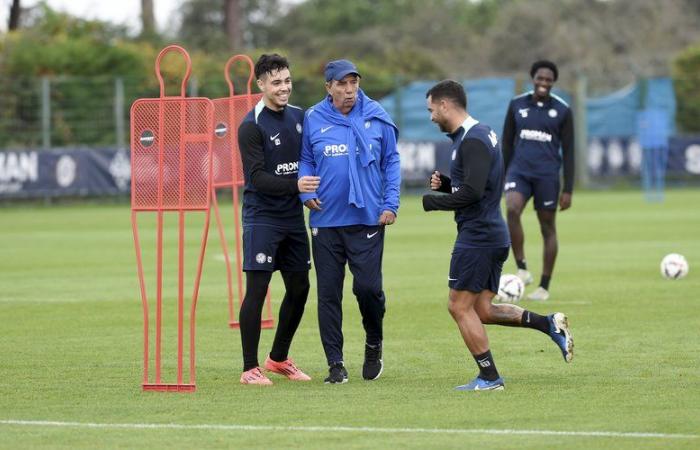 MHSC – Brest: Jean-Louis Gasset zeigte sich positiv gegenüber dem Neustart von Montpellier