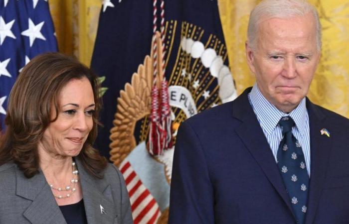 Warum Kamala Harris im Jahr 2020 10 Millionen Stimmen an Joe Biden verlor