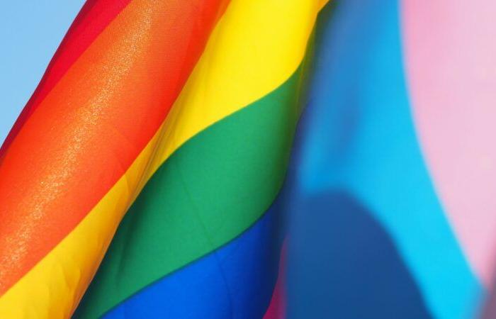 das tägliche Leben von LGBTQ+-Personen, beschrieben als extremistische Gemeinschaft · Global Voices auf Französisch