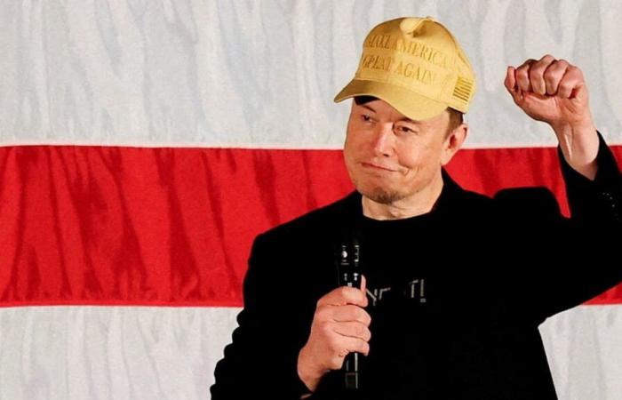 Nach Attacke gegen Scholz: Elon Musk nennt auch Habeck „Narr“ | Politik