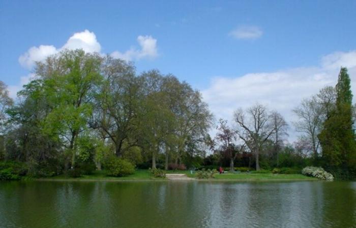 Ein Auto landet in einem See im Val-de-Marne, nachdem es sich weigert, der Aufforderung Folge zu leisten