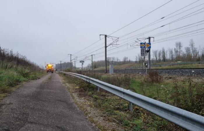 Haute-Saône. Eine Person kommt ums Leben, nachdem sie zwischen Besançon und Belfort von einem Zug erfasst wurde