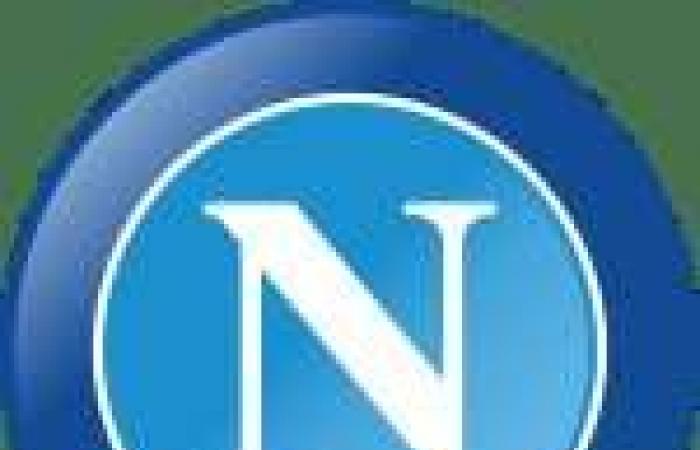 Neapel widersetzt sich Inter und behält seinen ersten Platz – Serie A – J12 – Inter-Napoli (1-1)