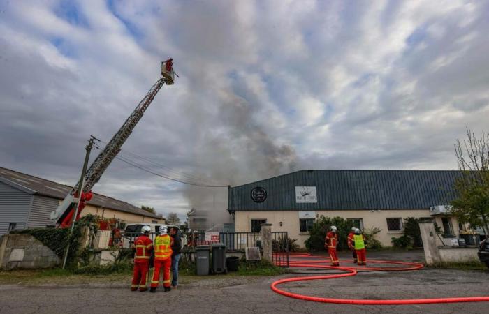 „Wir sind zusammengebrochen, aber wir werden wieder aufstehen“: Ein Feuer verwüstet die Pralinenwerkstätten von Kuku la in Lons