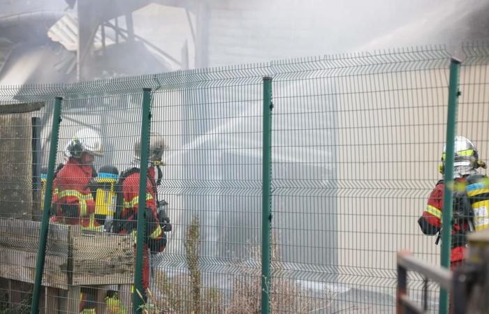 „Wir sind zusammengebrochen, aber wir werden wieder aufstehen“: Ein Feuer verwüstet die Pralinenwerkstätten von Kuku la in Lons