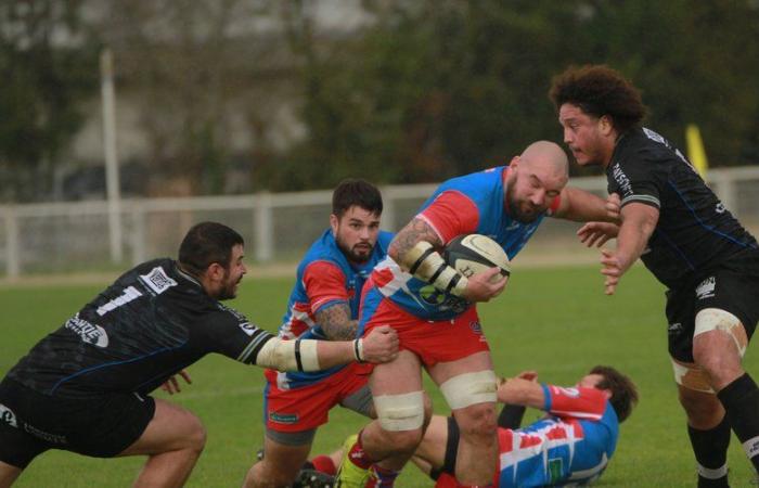 Amateur-Rugby – Federal 1: Mazamet enthält Lavaur! Das Tarn-Derby kehrt zu Sporting zurück