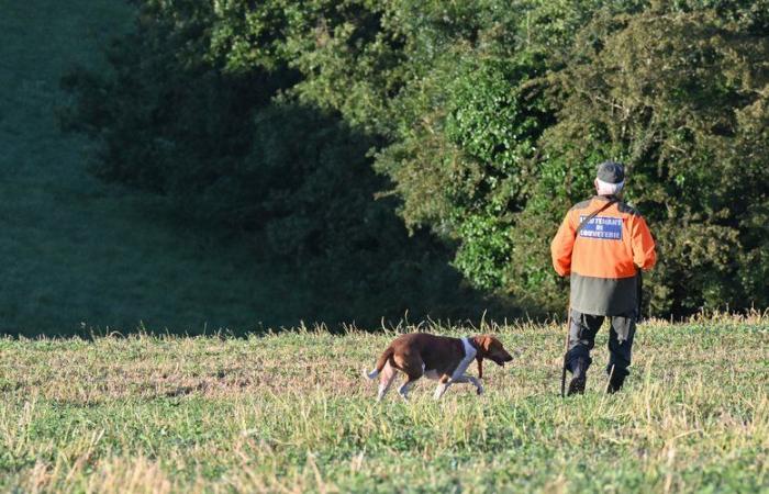 „Es war kein Unfall“: Frau wirft Jäger vor, ihre 30.000-Euro-Stute vorsätzlich getötet zu haben