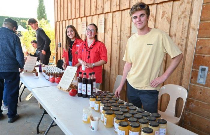 „Das Rhone-Gard-Gebiet ist für den Granatapfelanbau geeignet“, gefeiert auf dem Weingut Grenattitude in Bagnols-sur-Cèze