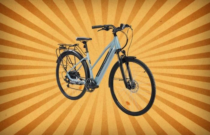 Der Preis für dieses Elektrofahrrad sinkt um 400 Euro und es ist noch nicht Black Friday Intersport