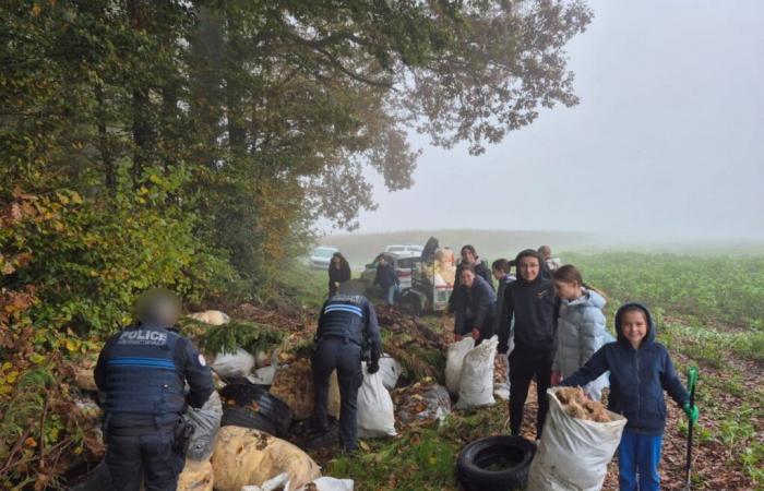 Jugendliche sammeln Müll auf einer illegalen Mülldeponie in Laboissière-en-Thelle