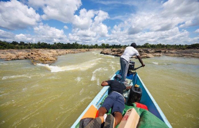 In Guyana stört eine außergewöhnliche Dürre das tägliche Leben auf den Flüssen