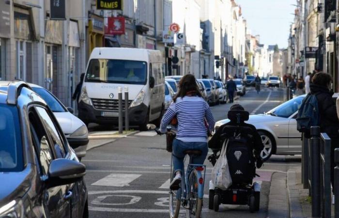 Sollten wir Straßen für Autos verbieten?