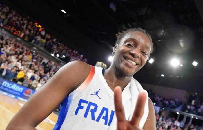 Frankreich. Zu welcher Uhrzeit und auf welchem ​​Fernsehsender kann man das Spiel der Bleues du Basketball sehen?