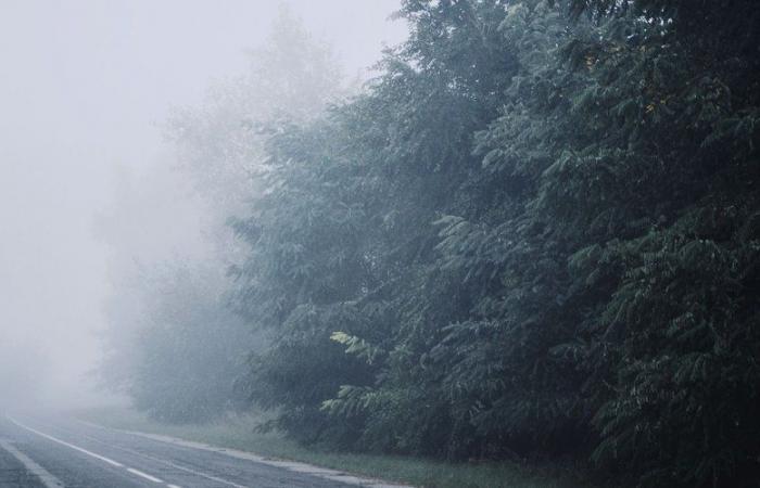 Seien Sie vorsichtig, wenn Sie an diesem Sonntagmorgen unterwegs sind: Météo France kündigt Nebel und Nebel im Aveyron an