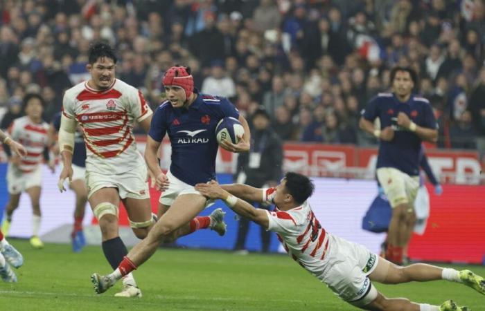 Fernsehzuschauer: 4,5 Millionen Zuschauer verfolgen das Rugbyspiel Frankreich-Japan auf TF 1