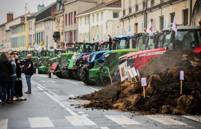 Bauern aus der Marne und den Ardennen rufen zu Demonstrationen vom 17. bis 19. November auf