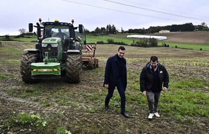 „Oh Jordan, schau nach oben und sieh dir die Waldtauben an!“ »