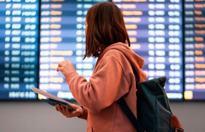 Welchen Einfluss haben Steuern auf den Preis eines Flugtickets?