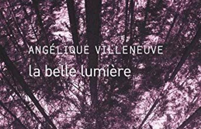 Die schöne leichte Angélique Villeneuve