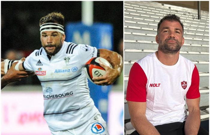 News Rugby hat Arnaud Mignardi gefunden