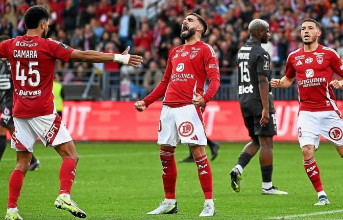 „Das Beste dieser Mannschaft, das werden wir jetzt sehen“: eine starke Truppe im Dienste von Stade Brestois