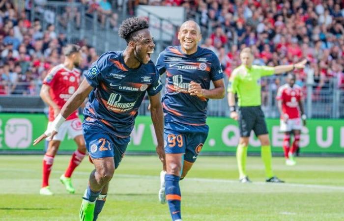 [SB29-MHSC] Brest-MHSC gehört zu den größten Verlierern in L1