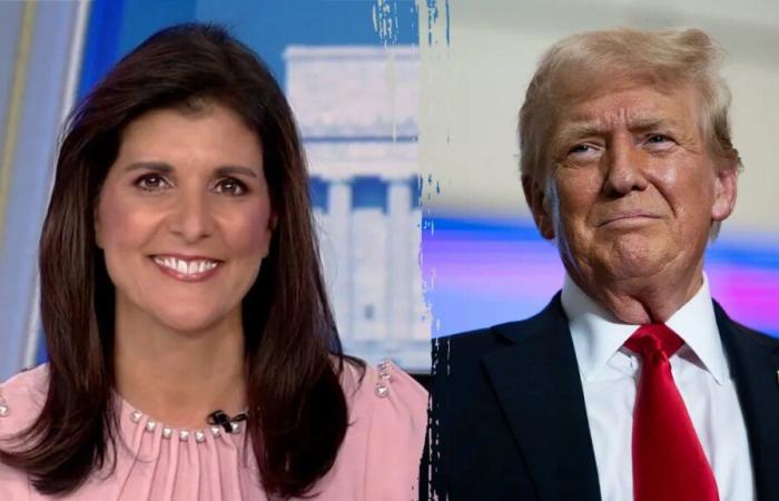 Nikki Haley antwortet, nachdem Trump gesagt hat, dass sie nicht Teil des neuen Kabinetts sein wird, und sagt, sie wünsche ihm „großen Erfolg“