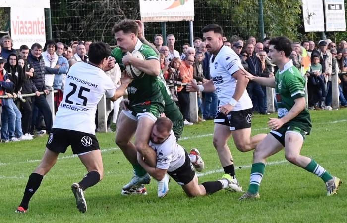 Rugby, Federal 2: Punkteteilung beim Derby Vergt – Bergerac in der Dordogne