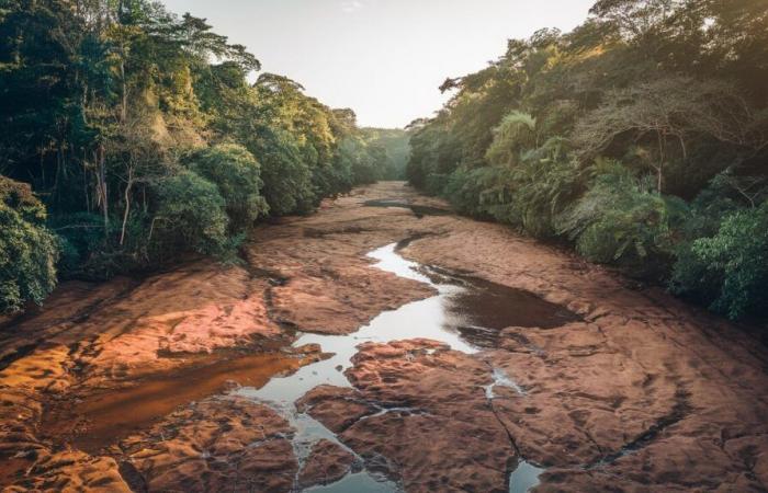 Eine außergewöhnliche Dürre stört das Leben in Guyana