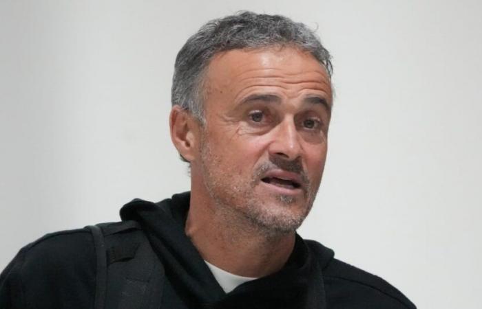 PSG, Luis Enrique völlig im Bann eines seiner Spieler!