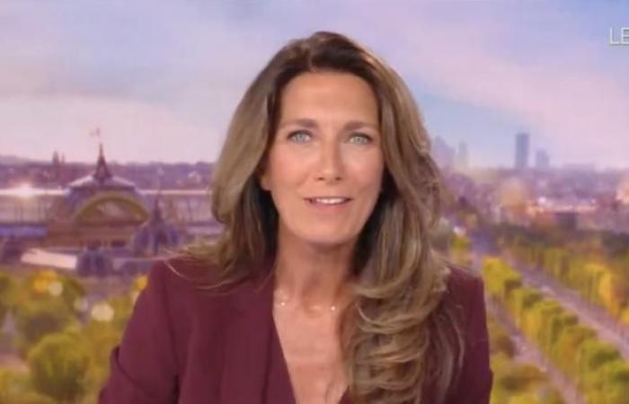 Zuschauer 20 Uhr: Anne-Claire Coudray dominiert mit mehr als 5,3 Millionen auf TF1 weitgehend, während Laurent Delahousse auf France 2 mit weniger als 3,8 Millionen Schwierigkeiten hat