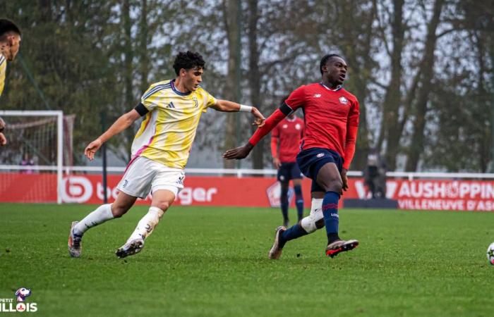 Die französischen U20- und U18-Teams beziehen vier Elemente vom LOSC