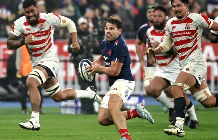 XV von Frankreich: „Bedrohung“, von den All Blacks „an der Spitze ihres Rugby“… Antoine Dupont und die Blues erwarten einen großen Schock gegen Neuseeland