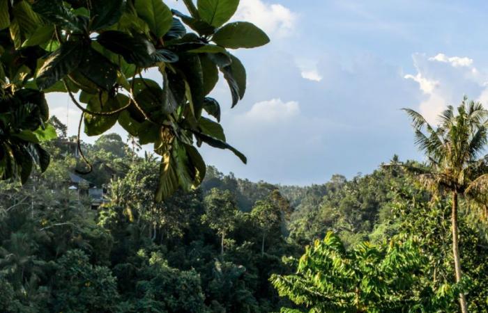 Bali-Tourismusdörfer zählen zu den besten in Indonesien